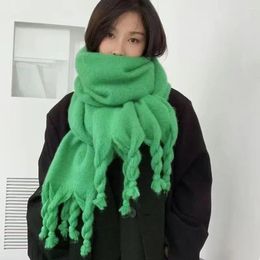 Scarves Imitation Cashmere Fashion Solid Colour Scarf Nylon Thicken Warm Versatile