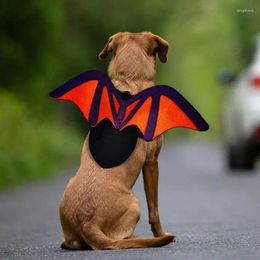 Hundehalsbänder Katze Halloween Kostüm Fledermausflügel weich mit Leine süße Katzen und Hunde Dressing Zubehör Haustier