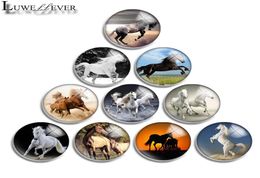 10mm 12mm 14mm 16mm 20mm 25mm 30mm 564 Horse Round Glass Cabochon Jewelry Finding Fit 18mm Snap Button Charm Bracelet Necklace8070578