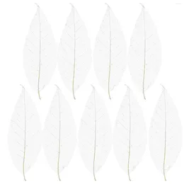 Decorative Flowers Magnolia Dried Leaf Specimen Bookmark Card Artificial Scrapbook DIY Craft White Wedding Decoration