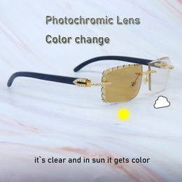 Photochromic Lenses Sunglasses Iced Out Carter Luxury Rhinestones Color Change Diamond Cut 4 Season Glasses Two Colors Sunglasses Black Buffalo Horn Sun Glasses