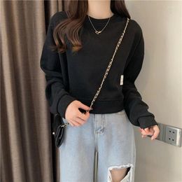 Women's Sweaters Autumn Women Solid Cropped Short Loose All-match Casual Harajuku Simple Pullover Crop Top Sweatshirts