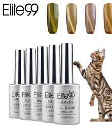 WholeElite99 12ml Cat Eye UV Gel Any1 Colour From 48 Colours UV Gelpolish Nail Gel Without Magnet Stick6542808