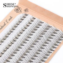 False Eyelashes 6 Rows 120 Bundles Eyelash Extension Natural Russian Volume Faux Cils Eyelashes Individual 102030D Cluster False Lashes Makeup 231201