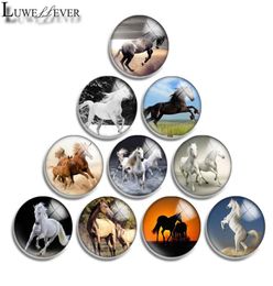 10mm 12mm 14mm 16mm 20mm 25mm 30mm 564 Horse Round Glass Cabochon Jewellery Finding Fit 18mm Snap Button Charm Bracelet Necklace8482431
