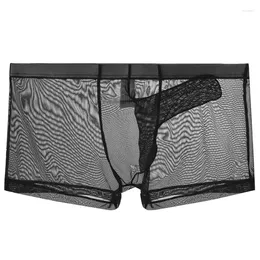 Underpants Underwear Men Ultrathin Mesh See-Through Panties Breathable Elephant Nose Bikini Sexy Gun Separation Boxers Calzoncillos