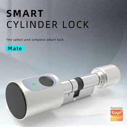 Door Locks Tuya Lock Smart Electronic with DIY Cylinder Core Fingerprint APP Keys IC Card Unlock Finger Print Home 231202