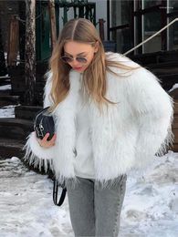 Women's Fur Plush Faux Coat Woman Fluffy Furry Long Sleeve Thick Warm Short Jacket 2024 Female Outfits Streetwear Ladies Outwear