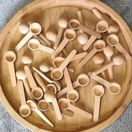 Spoons 10Pcs Natural Wooden Measuring Kitchen Seasoning Honey Coffee Scoop Small Cooking Sugar Spice Home Supplies