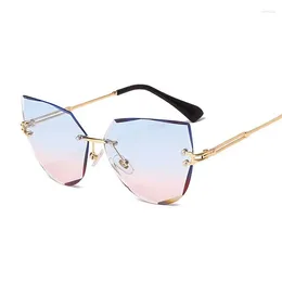 Sunglasses 2023 Cat Eye Woman High Quality Black Transparent Female Sun Glasses Oculos Feminino De Sol Zonnebril Dames