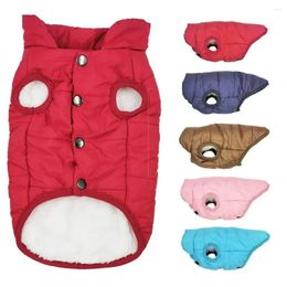 Dog Apparel Vest Pet Teddy Large Clothing Cat For Pupply Thickened Jacket Medium Cotton Winter