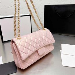 26CM Iridescent Pink White Double Flap Bags Classic Quilted Gold Silver Metal Hardware Matelasse Chain Crossbody Shoulder Luxury D246E