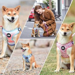 Dog Collars Leashes New Pet Chest Strap Dog Leash Vest Type Pet Dog Chest Strap T231204