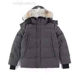 High Quality Down Jacket Real Big Wolf Fur Canadian Wyndham Overcoat Clothing Casual Style Outerwear Outdoor Parka