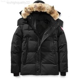 Quality High Down Jacket Real Big Wolf Fur Canadian Wyndham Overcoat Clothing Style Winter Outerwear Parka