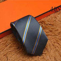 Mens Silk Neck Tie Business Style Luxury Ties Jacquard Weave Necktie Formal Occasion Designer Neckties Without Box