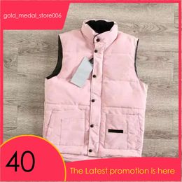 Canda Goose From Canada Mens Down Vest Puffer Jacket Parka Gilet Designer Jackets Vests Designer Men Women Winter Goose Down 735