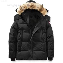 Quality High Down Jacket Coat Real Big Wolf Fur Canadian Wyndham Overcoat Fashion Style Winter Outerwear Parka