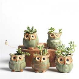 5 Pcs Set Creative Ceramic Owl Shape Flower Pots Planter Desk Cute Design Succulent Y2007232448