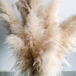 Faux Floral Greenery 80-120cm Pampas Grass Large Natural White Grey Dried Flower Bouquet Fluffy for Home Boho Decor Wedding Decora2536