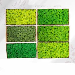 Christmas Decorations Eternal Life Moss for Home Garden Decor Simulation Plants Wedding Wall DIY Flower Material Natural Reindeer Micro Landscape 231205