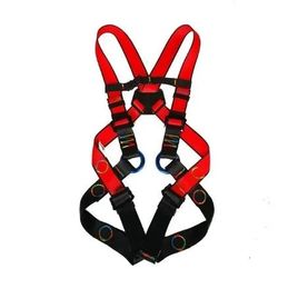 Climbing Harnesses Kids Safety Belt Child Full Rock Protection Outdoor Equipment Kits 231204