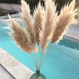 Christmas Decorations 8pcs Natural Dried Pampa Grass Bouquet boho Home Decor Phragmites Flowers bouquet For Wedding Ramadan Decoration 231205