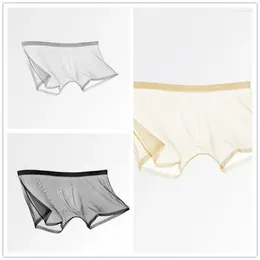 Underpants Men's Transparent Underwear 3 Pieces Fully Flat Angle Large Size Sexy Mesh Thin Fitting Bag And Pants