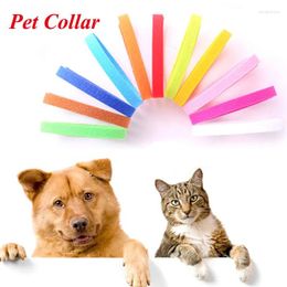 Dog Collars 12Pcs Colorful Distinguish Dog's Puppy Kitten Identification Collar Whelping ID Bands For Small Dogs Cats