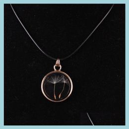 Pendant Necklaces Dandelions Necklaces Seed Floating Locket Novetly Plants Wish Necklace Drop Delivery Jewellery Necklaces Pendants Dh42T