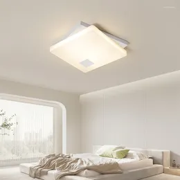 Ceiling Lights 40W 2 Milky White Light Living Room Bedroom Iron Modern LED Lamp