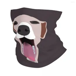 Scarves Yawning Greyhound Dog Bandana Neck Gaiter Printed Balaclavas Face Scarf Warm Cycling Fishing Unisex Adult Windproof