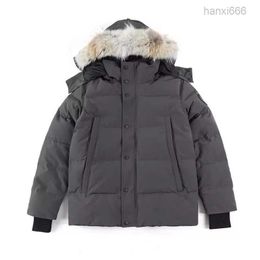 High Quality Down Goose Real Big Wolf Fur Canadian Wyndham Overcoat Casual Style Outdoor Parka