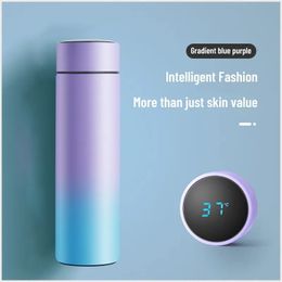 Thermoses 1pc 500ML Smart Insulation Stainless Steel Colorful Cup Mini Thermos Water Bottle Led Digital Temperature Display 231205