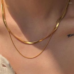 Chains Double Layer Snake Chain Ladies Necklace Short Stainless Steel Herringbone Gold Jewellery Gift282t