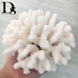14-16cm 100% Natural Coral Sea White Coral Tree White Coral Aquarium Landscaping Home Furnishing Ornaments Home Decoration314g