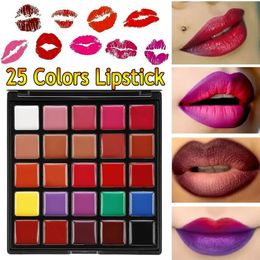 Lip Lápis 25 Cores Batons Paleta À Prova D 'Água Longa Duração Pigmento Preto Roxo Nu Maquiagem Profissional Ferramentas Cosméticas 231205