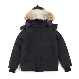 Chaqueta de plumón para hombre Abrigo de ganso de alta calidad Real Big Wolf Fur Canadian Wyndham Abrigo Ropa Estilo de moda Ropa de invierno Parka Dunkss