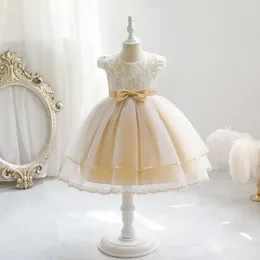 Girl Dresses Champagne Baby Summer Dress Embroidery Tulle Toddler Party Layers 1 Year Birthday Princess Formal Gowns Child Kids Clothes