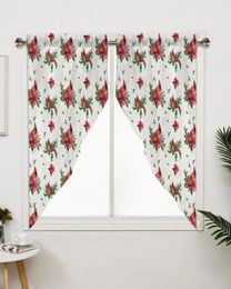 Curtain Christmas Cardinals Poinsettia Curtains For Bedroom Window Living Room Triangular Blinds Drapes