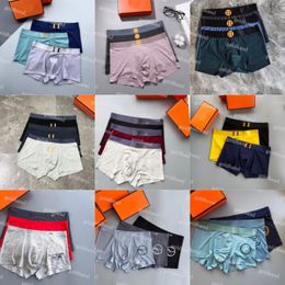 Luxury Mens Boxers Designer Letter Printed Underpants Sexy Mens Briefs Underwear 3pcs/Box