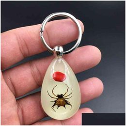 Keychains Lanyards Fashion Amber Resin Key Ring Real Worm Scorpion Night Owl Gift Wholesale Drop Delivery Accessories Dhya0
