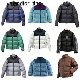 Designer Mens winter Jacket Women embroidery Down Jacket north Warm Parka Coat fashion brand Puffer Letter Print Outwear Multiple mens womens jackets