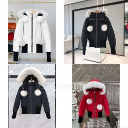 Canada Women Down Parkas Winter Jackets Outdoor Leisure Mooses Coats Windproof Top Women Moose and Knuckles Waterproof and Snow Proof2I1T