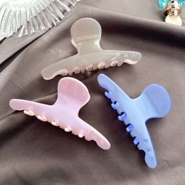 Designer Brand Morandi Colour Hair Clip High Quality Shark Hair Clamps France Simple Design Daily Hair Jewellery Charm Girl Face Washing Makeup Gifts Hair Clip