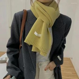 Scarves Solid Colour Warm Autumn And Winter Versatile Woollen Soft Waxy Couple Korean Style College Japanese Scarf