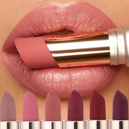 Lipstick Nude Velvet Lipsticks Waterproof Long Lasting Moisturise Lip Stick Not Fade Sexy Matte Gloss Women Makeup Lipsalve 231207