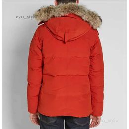 Puffer Jackets Men's Designer Real Coyote Fur Outdoor Wyndham Windbreaker Jassen Outerwear Hooded Fourrure Manteau Down Jacket Coat Hiver 240