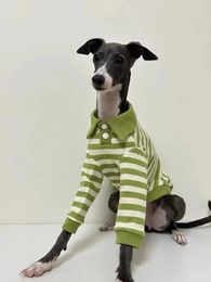 Dog Apparel Autumn and Winter Pure Cotton POLO Shirt Stretch Italian Greyhound Whippet Bellington Clothes Green Stripes 231206