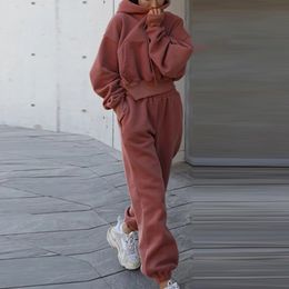 Women's Two Piece Pant Long Sleeve Pullover Pants Casual Ladies Hooded Sweater Baggy Solid Color Elastic Waisted Loose Fit Streetwear Suit 231206